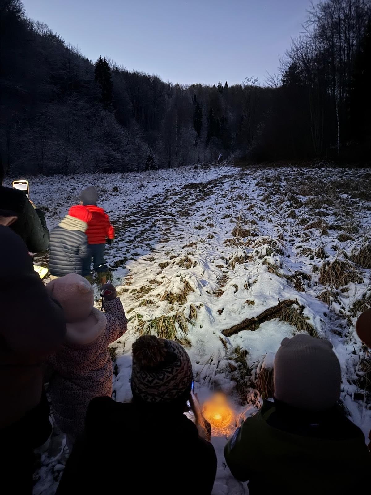 Zimowe zajęcia